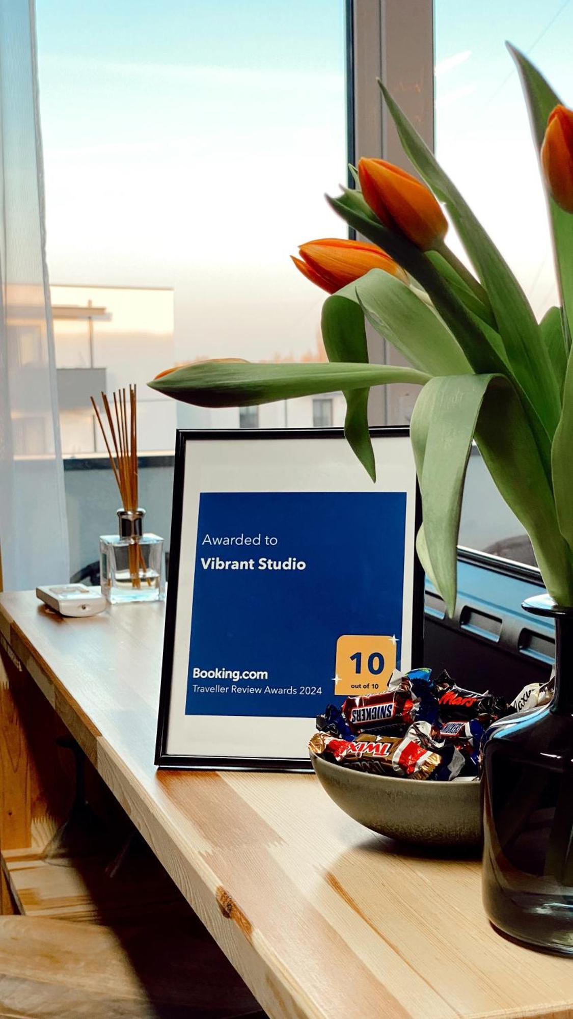 Vibrant Studio Timişoara Exterior foto